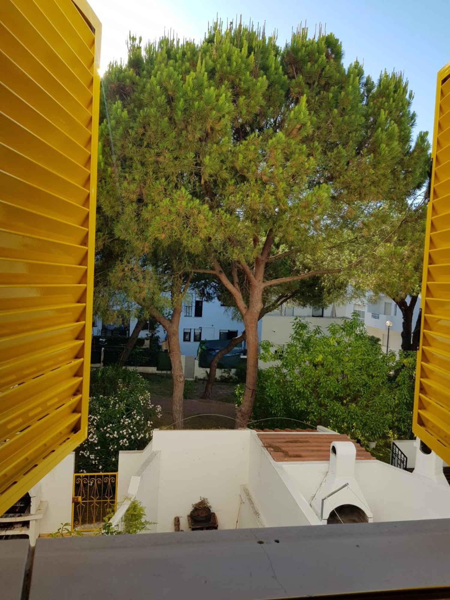 Gelbblau Falesia Albufeira Exterior foto